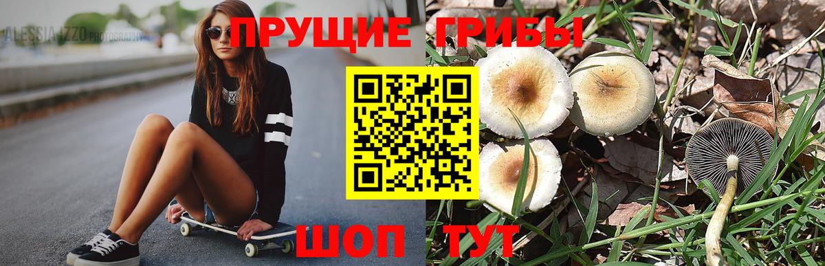 Галлюциногенные грибы GOLDEN TEACHER  Вход с VPN  Галлюциногенные грибы мицелий  Отрадное 