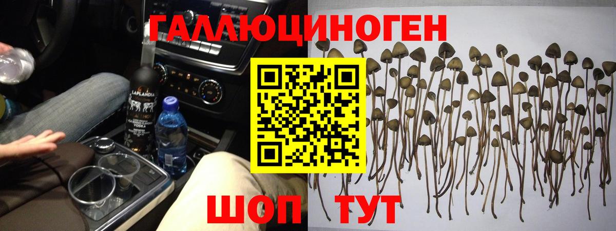 КОКАИН  Экстази  A-PVP СК кристаллы  МЕТАМФЕТАМИН  Отрадное  Вход с VPN  Мефедрон кристаллы 